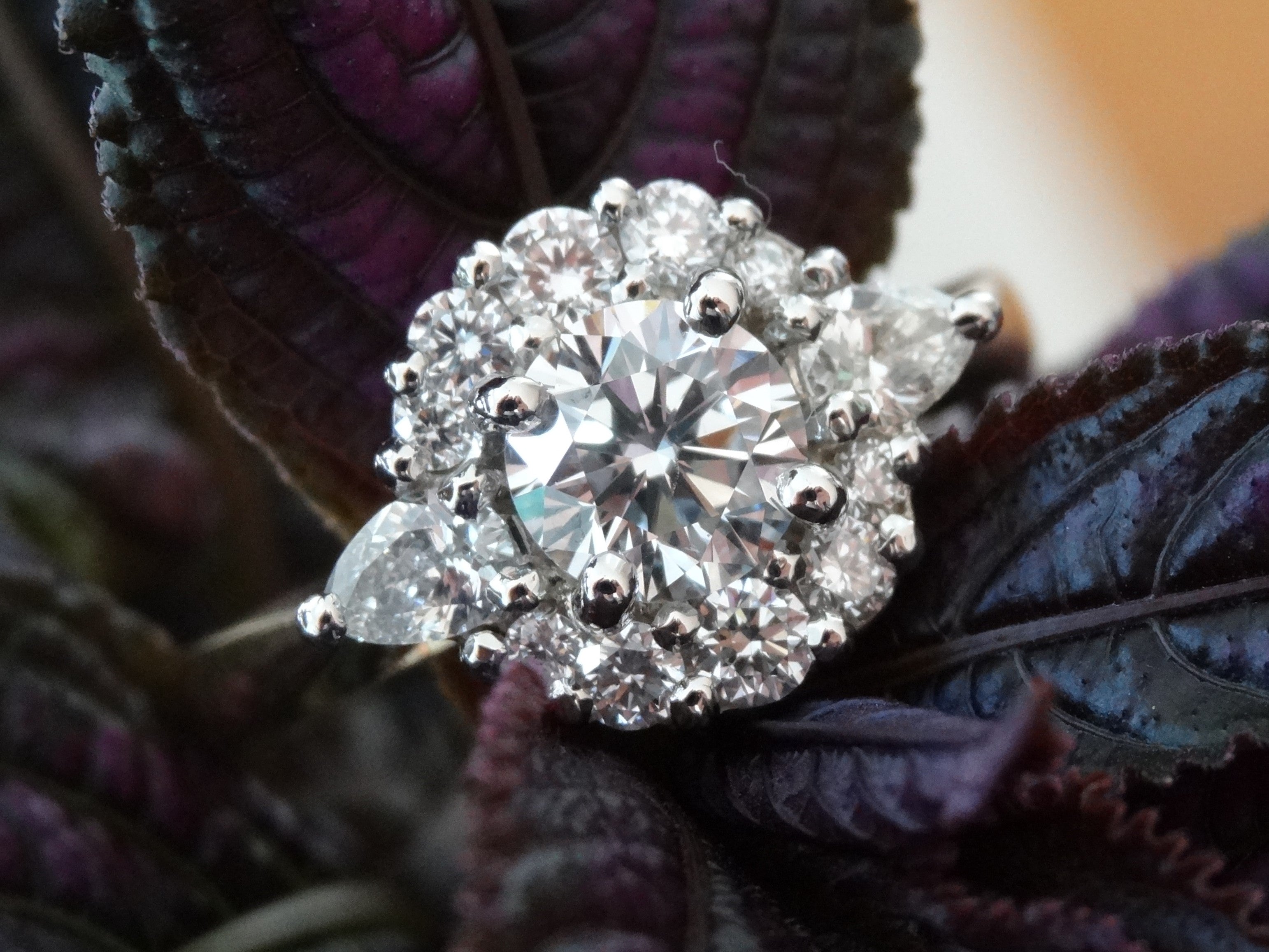 A round diamond is surrounded by a halo of round and pear shaped diamonds. The ring is made from white metal and rests on some leaves.