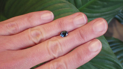 Australian Blue Parti Sapphire - Oval 1.13ct