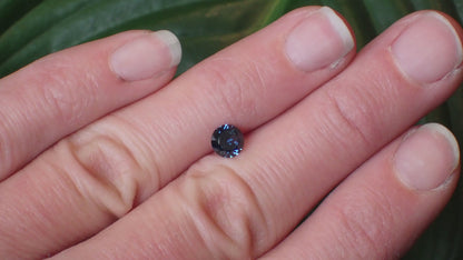 Australian Blue Parti Sapphire - Round 0.78ct