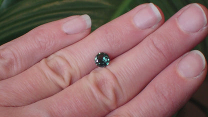Australian Green Sapphire - Round 1.06ct