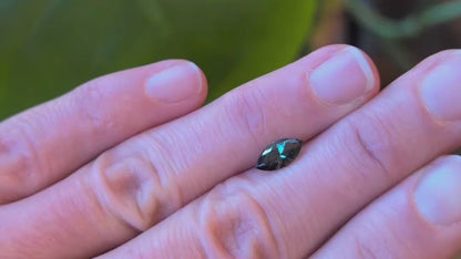 Australian Teal Parti Sapphire - Marquise Cut 0.96ct