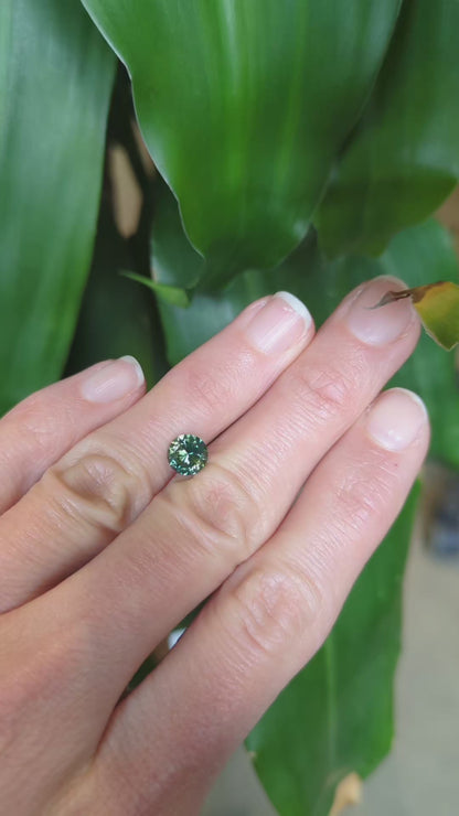 Australian Green Sapphire - Round 1.36ct