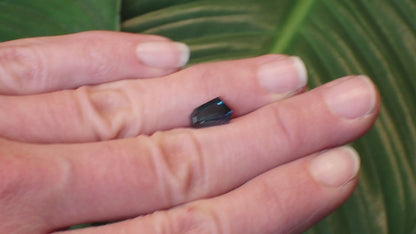 Australian Blue Sapphire - Freeform 1.91ct