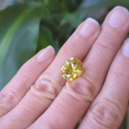 Australian Yellow Sapphire - Oval Cut 7.72ct