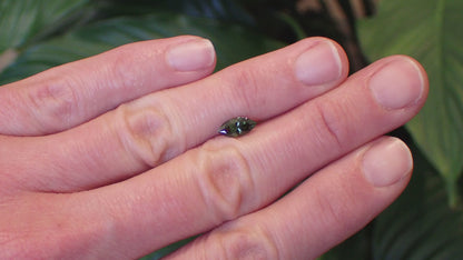 Australian Green Sapphire - Marquise Cut 0.85ct