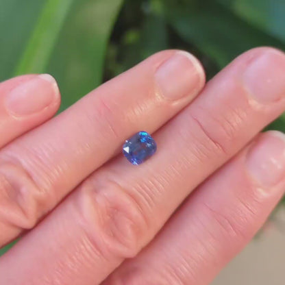 Sri Lankan Blue Sapphire - Cushion Cut 1.59ct